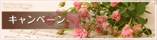キャンペーン